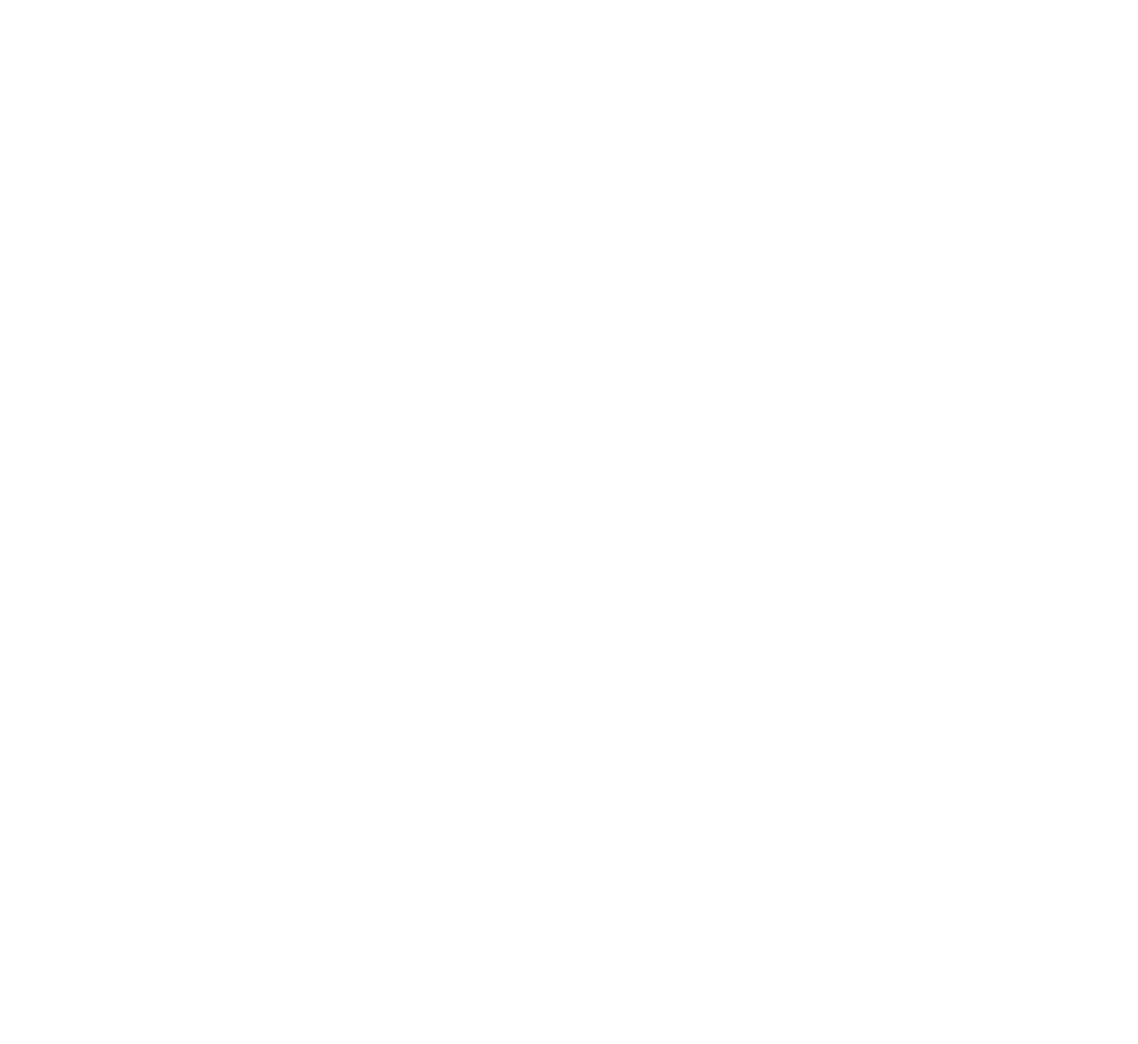 Fibex Telecom